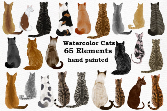 Bring Warmth to Your Projects with Hand Painted Cat Clipart
