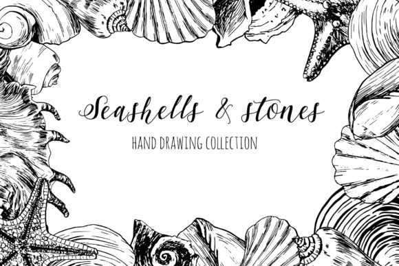 Capturing Coastal Charm with the Seashells & Stones Set