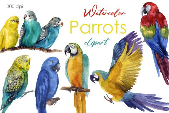 Cute Watercolor Clipart with Parrots Png for Tropical Projects