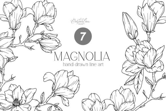 Floral Line Art: The Elegance of Magnolia PNG Designs
