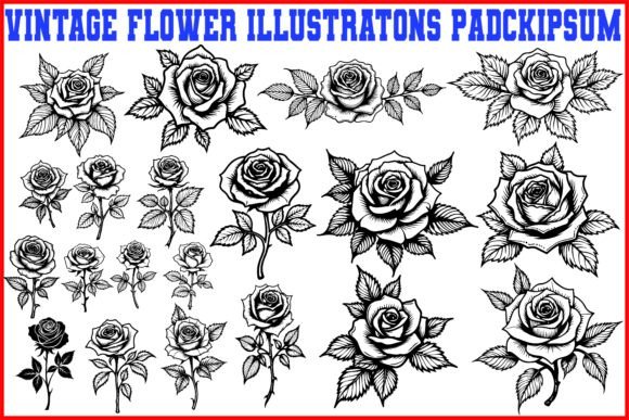 Timeless Botanical Art: The Vintage Hand-Drawn Rose Illustrations Pack 🌹