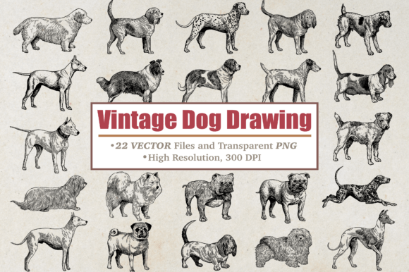Timeless Charm: The Vintage Dog Hand Drawn Clipart Set
