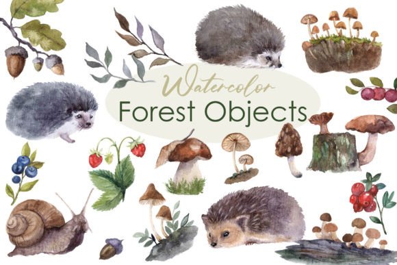 Watercolor Clipart: Forest Cute Fall Png for Creative Projects